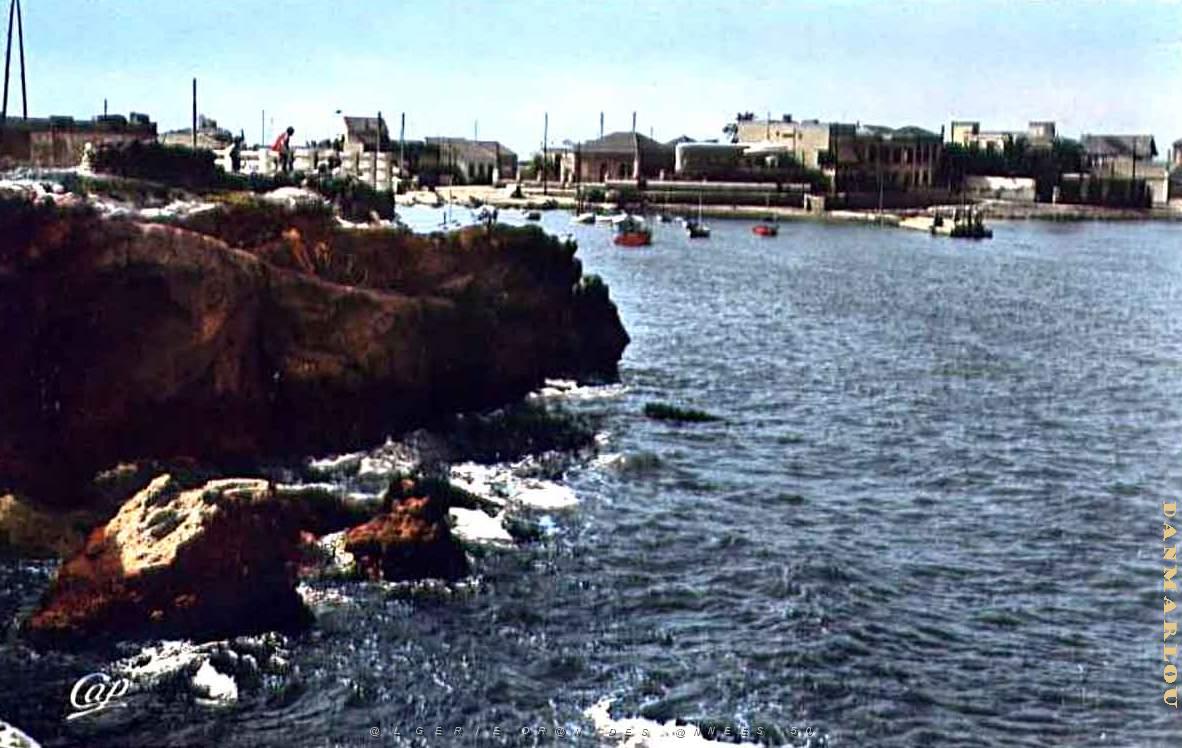 Port aux poules 604.jpg